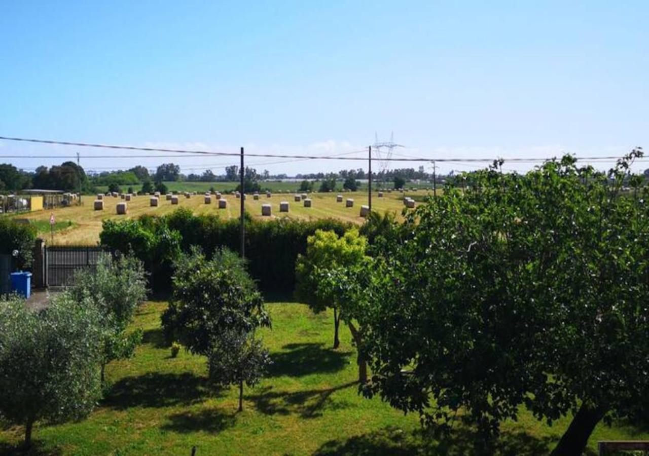 Eco House San Michele Borgo San Michele (Lazio)